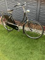 Gazelle Populair Omafiets, Ophalen, Gebruikt, Versnellingen, 56 cm of meer