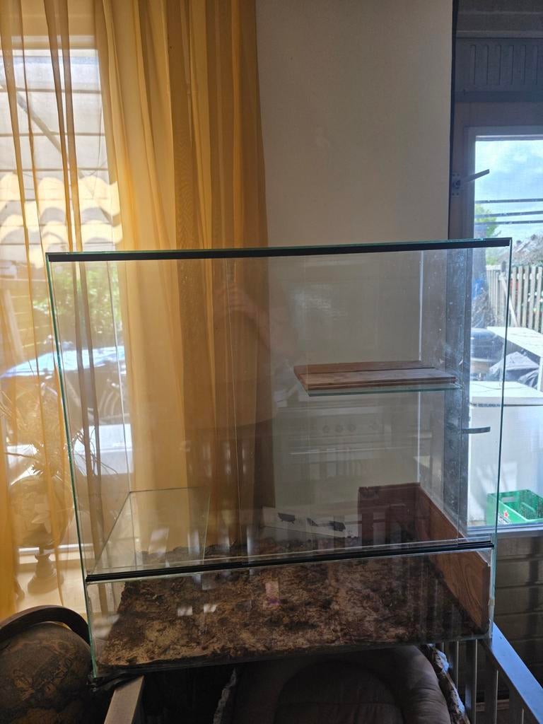 Terrarium 80x80x40, Dieren en Toebehoren, Reptielen en Amfibieën | Toebehoren, Ophalen, Gebruikt, Terrarium of Paludarium