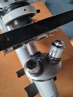 Euromex Microscoop met Kruistafel en Accessoires, Audio, Tv en Foto, Optische apparatuur | Microscopen, Ophalen of Verzenden, Gebruikt