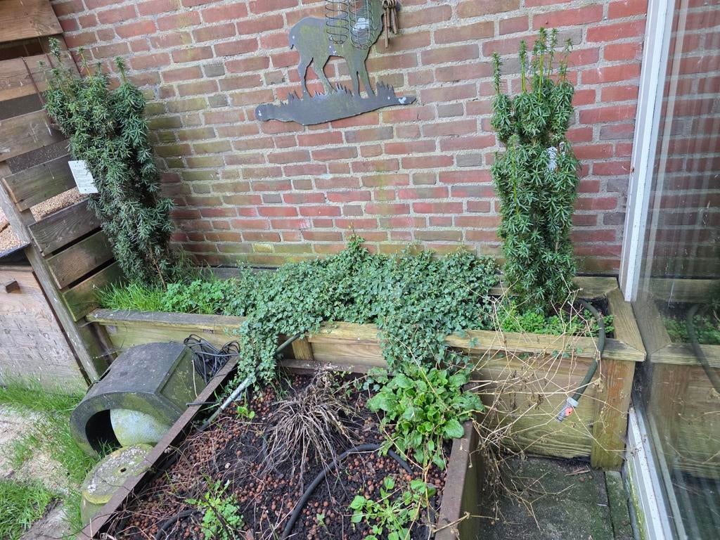 Grote Douglas plantenbak 49x 224 cm, Ophalen, Gebruikt, 100 cm of meer, Balkon