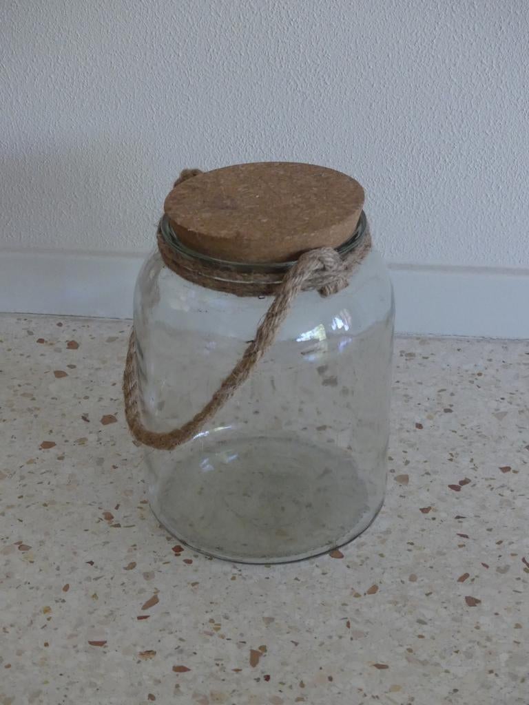 Glazen pot met deksel voor maken mini-ecosysteem, Ophalen of Verzenden, Nieuw, Glas