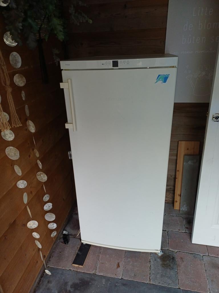 Liebherr premium vriezer  6 laden super A++, Ophalen, 60 tot 90 cm, 160 cm of meer