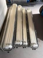 Appleton EX/ATEX Armaturen - Explosieveilige Verlichting, Ophalen, Gebruikt, 50 tot 200 watt, Armatuur