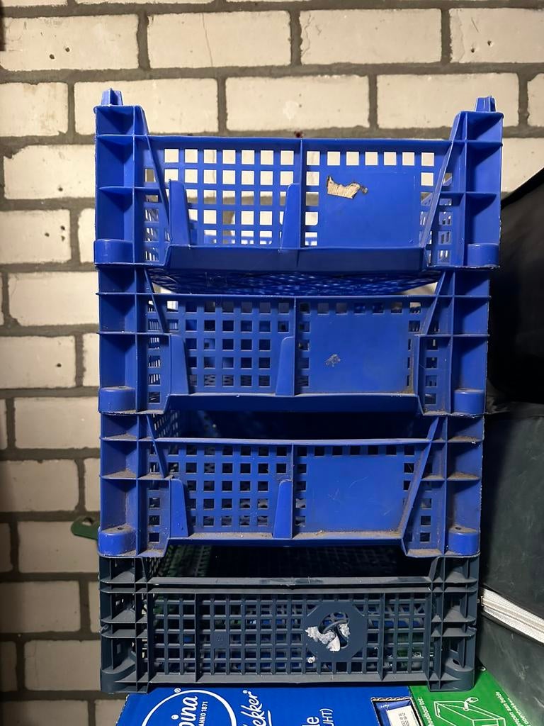 4 plastic kratjes, Ophalen, Minder dan 35 cm, Minder dan 50 cm, Zo goed als nieuw