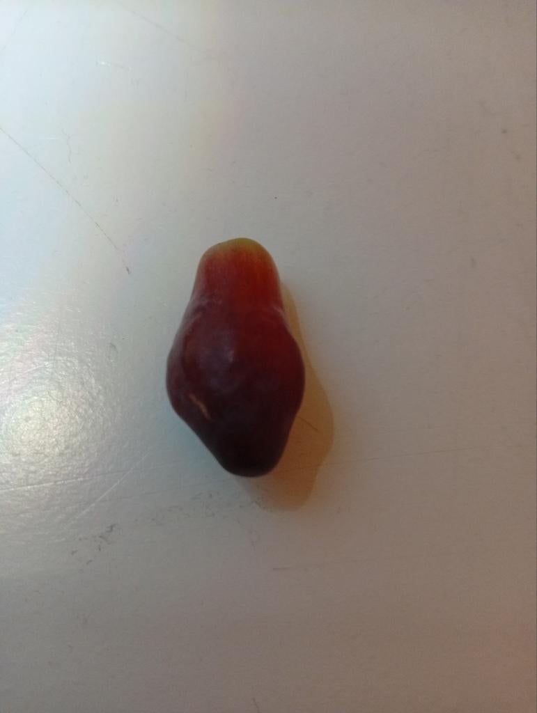 N druif 2, Ophalen of Verzenden