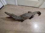 Taxidermie Opgezette Krokodil., Ophalen, Gebruikt, Overige soorten, Opgezet dier