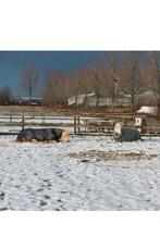 Stal / Rijsenhout, Ophalen of Verzenden, Zo goed als nieuw