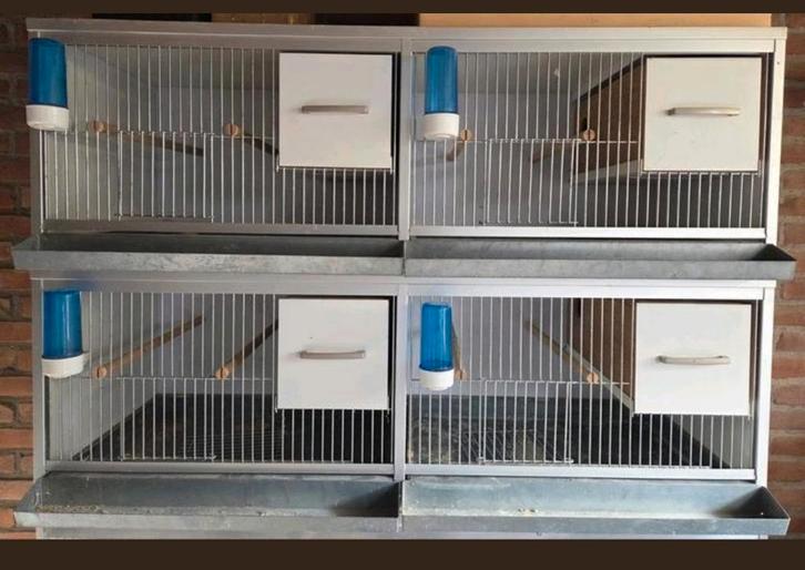 Complete broedhok kweekkooi van keulen kooien te koop, Dieren en Toebehoren, Vogels | Hokken en Kooien, Broedkooi of Kweekkooi