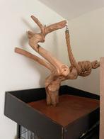 Grote java boom vogel papegaai boom, Dieren en Toebehoren, Ophalen, Zo goed als nieuw, Speelgoed