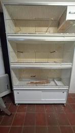 Van Keulen broedkooien, Ophalen, Hout, Broedkooi of Kweekkooi