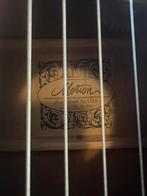 Motion USA Semi-akoestische gitaar TD-101CEVP, Ophalen of Verzenden, Gebruikt, Western- of Steelstringgitaar, Met (piezo-)element