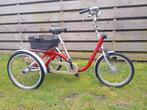 Driewieler 22 inch, Ophalen, Gebruikt, Van Raam, Verstelbare zitting