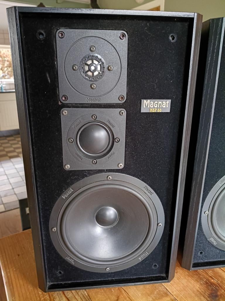 Luidsprekers Magnat MSP 60, Ophalen, Magnat, Zo goed als nieuw, 120 watt of meer