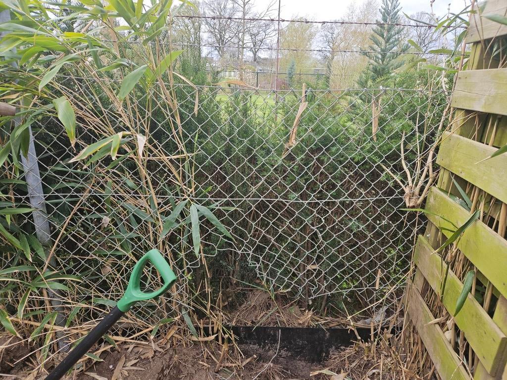 Gezocht: Reststukje hekwerk voor gat, Tuin en Terras, Ophalen