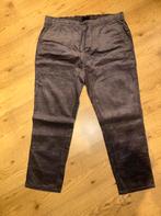 Paarse Corduroy Broek Maat XL, Ophalen of Verzenden, Gedragen, Maat 56/58 (XL), Paars