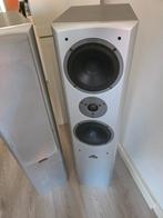 Magnat Vector 55 vloerstaande speakers (set), Ophalen, Gebruikt, Magnat, 120 watt of meer