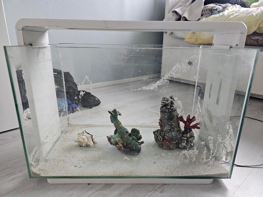 Aquarium, Dieren en Toebehoren, Vissen | Aquaria en Toebehoren, Ophalen, Leeg aquarium