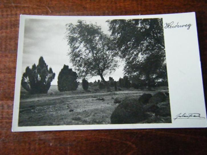 R37 - Heideweg - Waar ? - Mooi/Oud, Verzamelen, Ansichtkaarten | Nederland, Gelderland, 1940 tot 1960, Ophalen of Verzenden