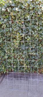 Klimrooster voor klimop, metalen gaasrooster 75x180cm, Ophalen