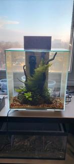 Fluval Edge custom, Ophalen, Gebruikt, Leeg aquarium
