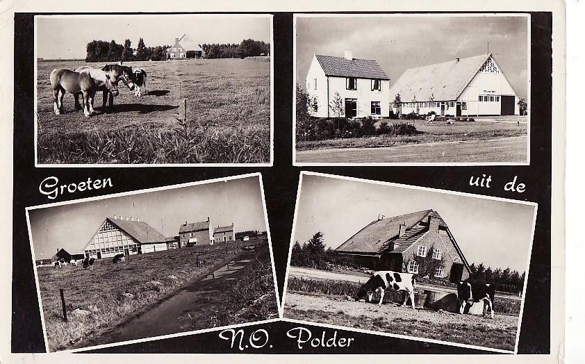 Groeten uit N.O. Polder 1956 4-vensterkaart, Verzenden, 1940 tot 1960, Gelopen, Flevoland