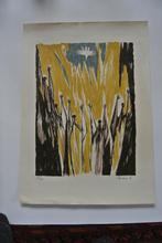 wally elenbaas litho 7 zonder titel., Ophalen of Verzenden