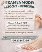 GEZOCHT EXAMENMODEL PEDICURE, Variabele uren, Overige niveaus, Starter, Overige vormen
