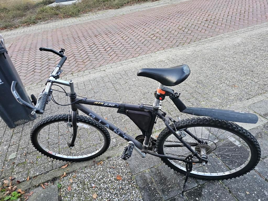 Mountainbike, Ophalen of Verzenden, Gebruikt, Staal, 24 inch of meer