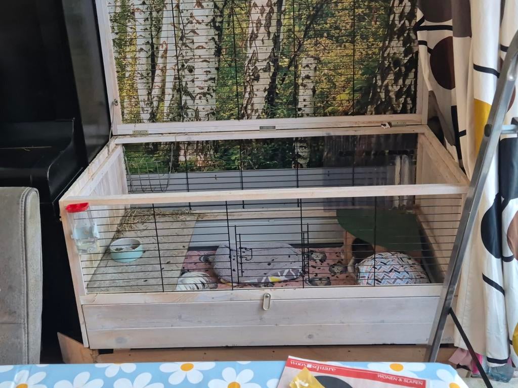 Beeztees alby caviahok, Dieren en Toebehoren, Ophalen, 110 cm of meer, Hok, 60 tot 90 cm