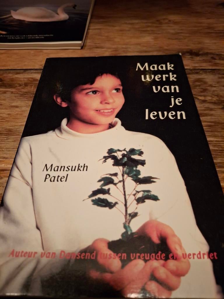 Maak werk van je leven - Mansukh Patel, Boeken, Ophalen of Verzenden, Gelezen, Mansukh Patel