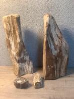 Versteend hout, Ophalen of Verzenden