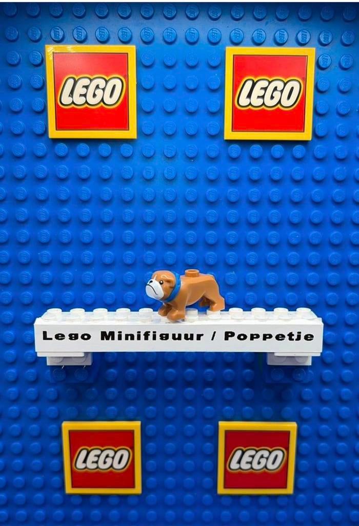 Lego Minifiguur / Poppetje 65388pb02., Ophalen of Verzenden, Zo goed als nieuw, Lego