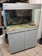 Redsea, Ophalen, Leeg aquarium