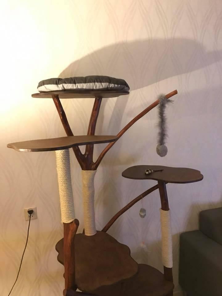 katten boom krabmeubel, Ophalen, Gebruikt, Krabpaal
