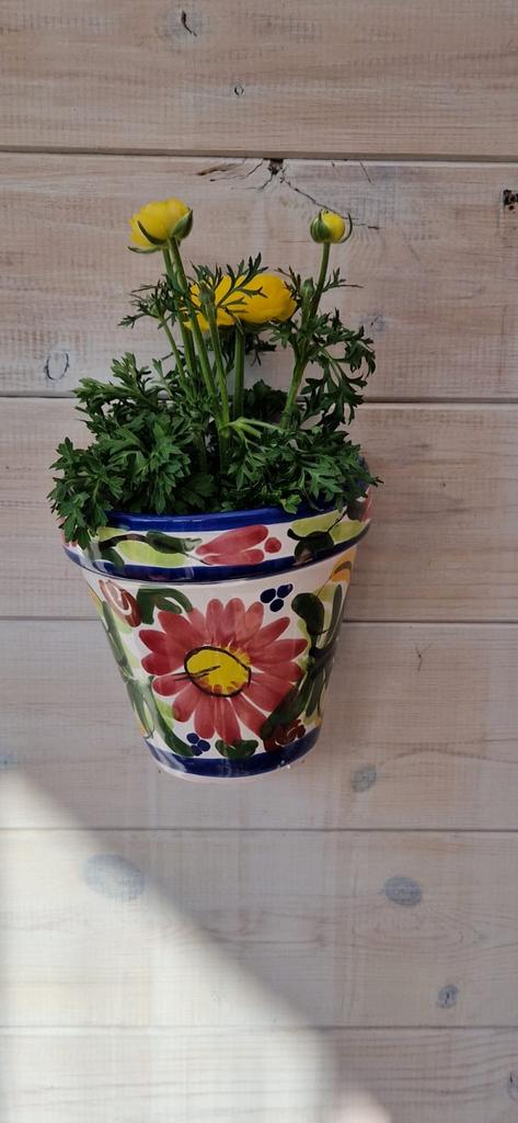 Spaanse handgemaakte wandpot - Nieuw & Zomers!, Ophalen of Verzenden, Overige vormen, Aardewerk, Binnen