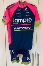 Lampre Merida set, wielrenshirt en broek, zgan, Heren, Ophalen of Verzenden, Zo goed als nieuw, L