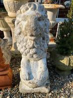 Zware betonnen leeuw voor in de tuin - H 65 cm, Ophalen, Dierenbeeld, Gebruikt, Nvt