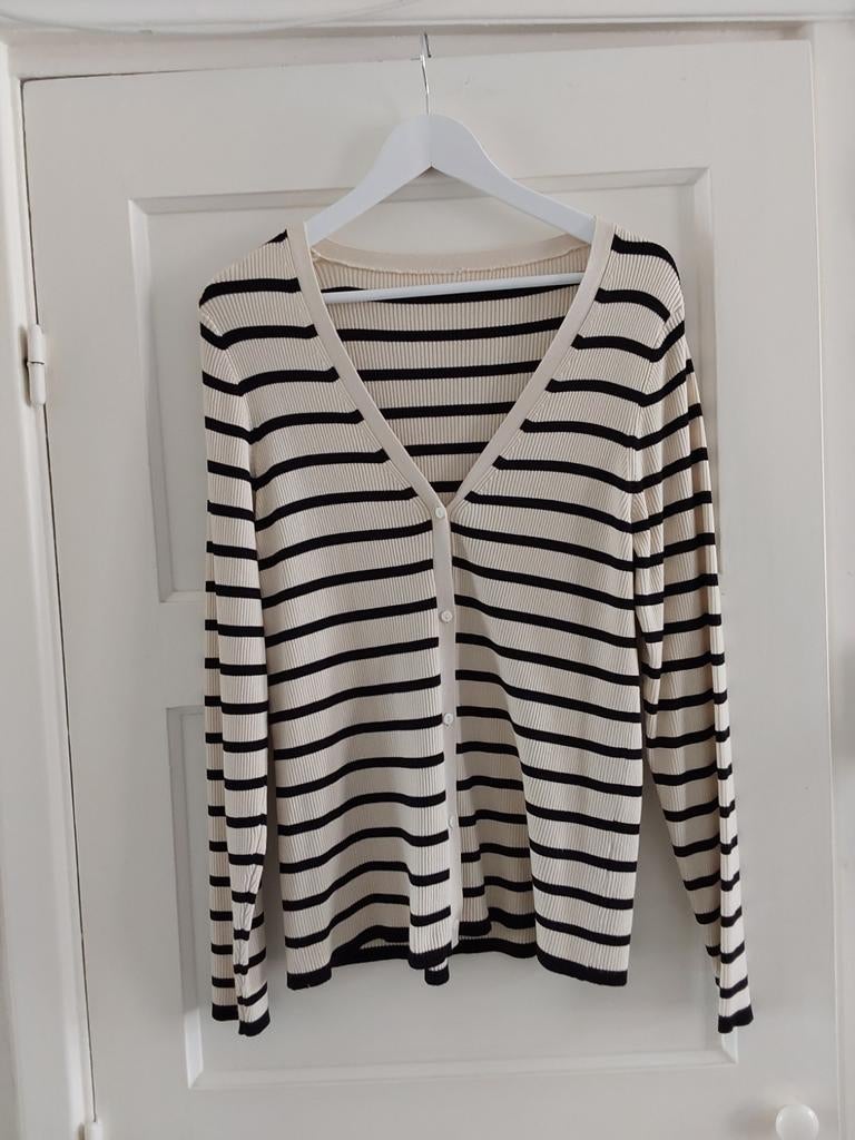 Vest Hema maat 42 🆕️, Overige kleuren, Maat 42/44 (L), Nieuw, Ophalen of Verzenden