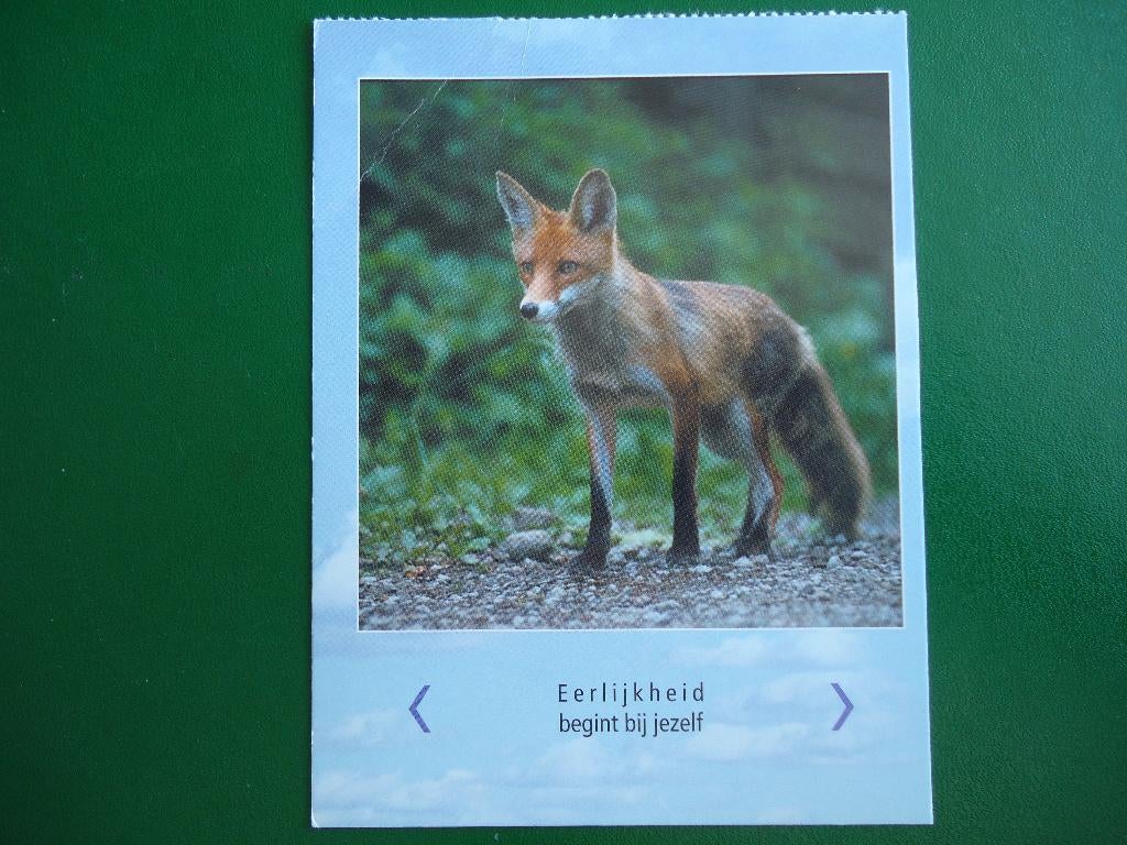 (804) Dierenkaart: VOS, Verzenden, 1980 tot heden, Ongelopen, Wild dier