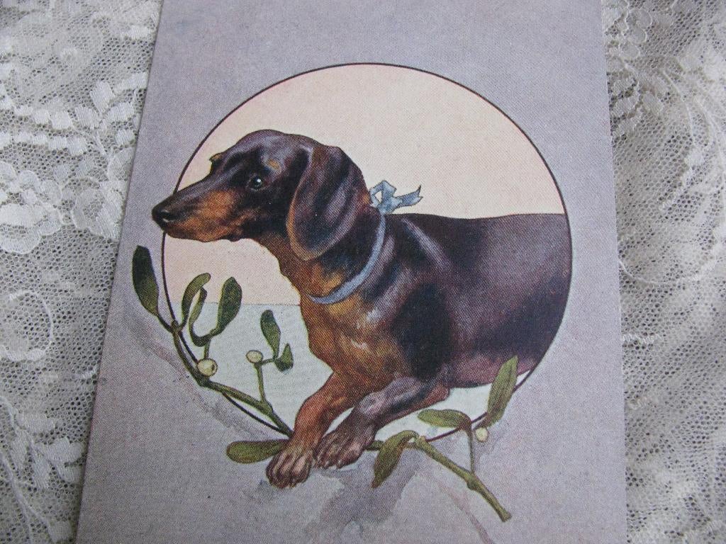 Antieke Kaart - Teckel met Blauwe Strik, Verzenden, Voor 1920, Gelopen, Feest(dag)