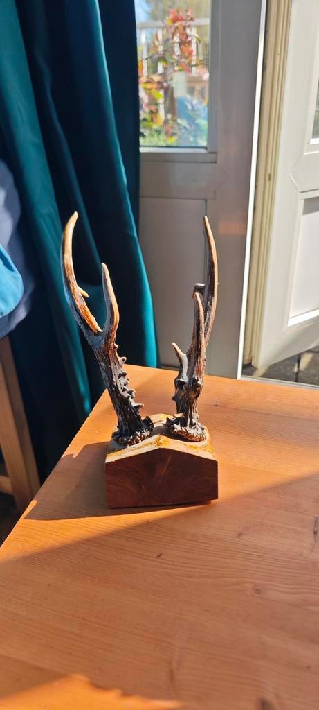 Hertshoorn set op houten voet, Ophalen of Verzenden, Beeldje of Figuurtje