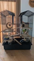 Hamster knaagdier kooi incl accessoires, Dieren en Toebehoren, Knaagdieren en Konijnen | Hokken en Kooien, Kooi, Gebruikt, 60 tot 90 cm