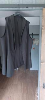 Zwart gilet maat 48, Ophalen of Verzenden, Zo goed als nieuw, Zwart, Broek of Spijkerbroek