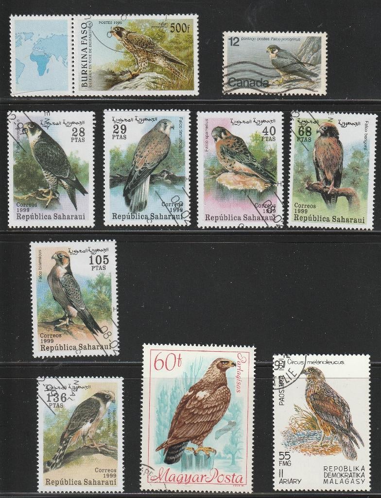 Roofvogels Kavel nr. 8, Verzenden, Gestempeld, Dier of Natuur