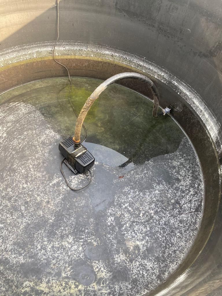 Grote vijverbak met filter en pomp - 190x110 cm, Ophalen, Gebruikt