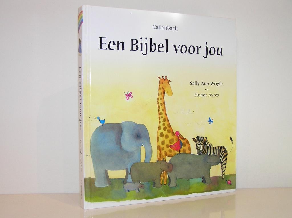 Sally Ann Wright en Honor Ayres - Een Bijbel voor jou, Ophalen of Verzenden, Zo goed als nieuw, Christendom | Katholiek