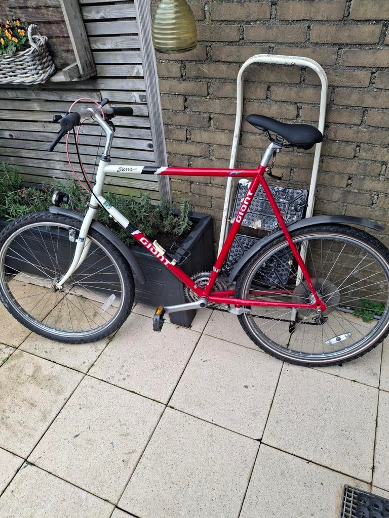 Vintage gaint fiets, Fietsen en Brommers, Fietsen | Heren | Herenfietsen, Ophalen of Verzenden, Overige merken