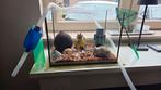 Viskom inclusief toebehoren, Ophalen, Gebruikt, Leeg aquarium