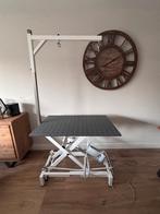 ZGAN Professionele elektrische trimtafel Stabilo - Wesseling, Dieren en Toebehoren, Ophalen, Zo goed als nieuw