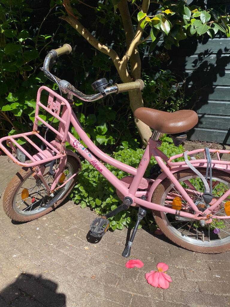 Alpina fiets, Fietsen en Brommers, Ophalen, Terugtraprem, Gebruikt, Alpina